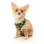 FuzzYard Biggie Smiles breathable dog harness (size XS)