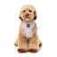 FuzzYard Bubblegum Burst breathable dog harness (size XS)