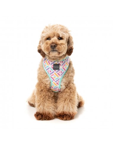 FuzzYard Bubblegum Burst breathable dog harness (size XS)