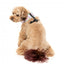 FuzzYard Bubblegum Burst breathable dog harness (size XS)