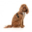 FuzzYard Carioca breathable dog harness (size XS)