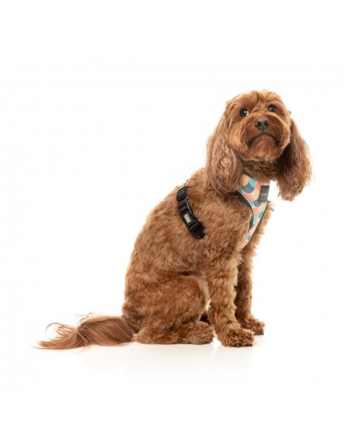 FuzzYard Carioca breathable dog harness (size XS)