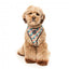 FuzzYard Carioca breathable dog harness (size XS)