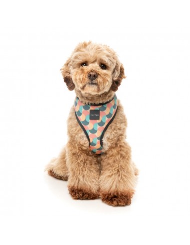 FuzzYard Carioca breathable dog harness (size XS)
