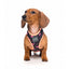 FuzzYard Fabmingo breathable dog harness, size XL