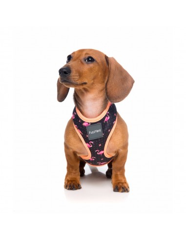 FuzzYard Fabmingo breathable dog harness, size XL