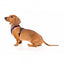 FuzzYard Fabmingo breathable dog harness, size XL