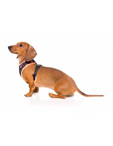 FuzzYard Fabmingo breathable dog harness, size XL
