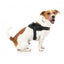 FuzzYard Flash Blackout Reflective Dog Harness