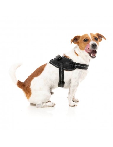 FuzzYard Flash Blackout Reflective Dog Harness