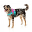 FuzzYard Flash Bubblegum Reflective Dog Harness