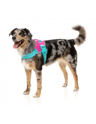 FuzzYard Flash Bubblegum Reflective Dog Harness