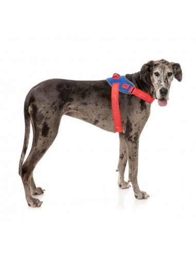 FuzzYard Flash Patriot Reflective Dog Harness