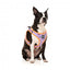 FuzzYard Aloha Dolphins Breathable Step-In Dog Harness