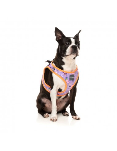 FuzzYard Aloha Dolphins Breathable Step-In Dog Harness