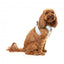 FuzzYard Bubblegum Burst Breathable Step-In Dog Harness