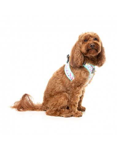 FuzzYard Bubblegum Burst Breathable Step-In Dog Harness