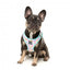 FuzzYard Bubblegum Burst Breathable Step-In Dog Harness