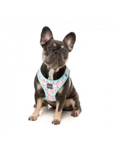 FuzzYard Bubblegum Burst Breathable Step-In Dog Harness