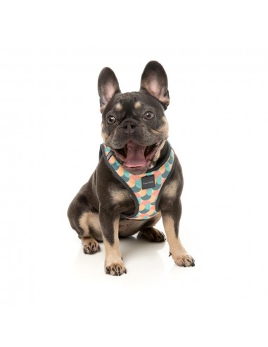 FuzzYard Carioca Breathable Step-In Dog Harness