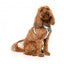 FuzzYard Carioca Breathable Step-In Dog Harness