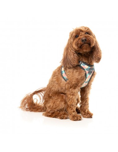 FuzzYard Carioca Breathable Step-In Dog Harness