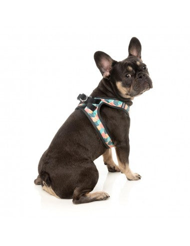 FuzzYard Carioca Breathable Step-In Dog Harness