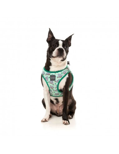 FuzzYard Dreamtime Koalas Breathable Step-In Dog Harness