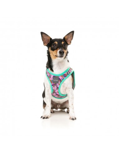 FuzzYard Fiesta Step-In Dog Harness, Breathable and Reflective