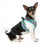 FuzzYard Fiesta Step-In Dog Harness, Breathable and Reflective