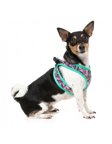 FuzzYard Fiesta Step-In Dog Harness, Breathable and Reflective