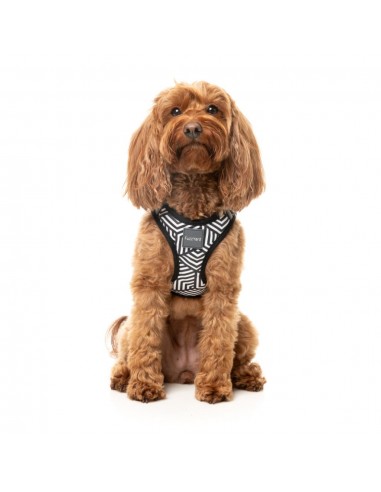 FuzzYard Fitzroy Step-In Dog Harness, Breathable and Reflective