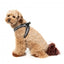 FuzzYard Fitzroy Step-In Dog Harness, Breathable and Reflective