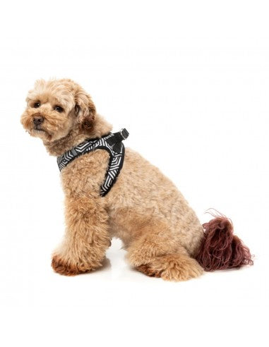 FuzzYard Fitzroy Step-In Dog Harness, Breathable and Reflective