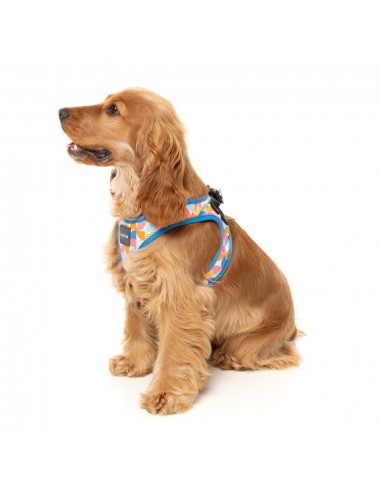 FuzzYard Fresh Zest Step-In Dog Harness, Breathable and Reflective