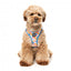 FuzzYard Fresh Zest Step-In Dog Harness, Breathable and Reflective