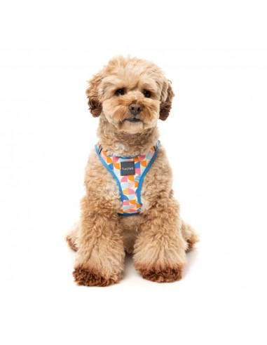 FuzzYard Fresh Zest Step-In Dog Harness, Breathable and Reflective
