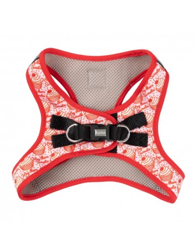 FuzzYard Hey There Sweetie Step-In Dog Harness, Breathable and Reflective