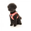 FuzzYard Hey There Sweetie Step-In Dog Harness, Breathable and Reflective