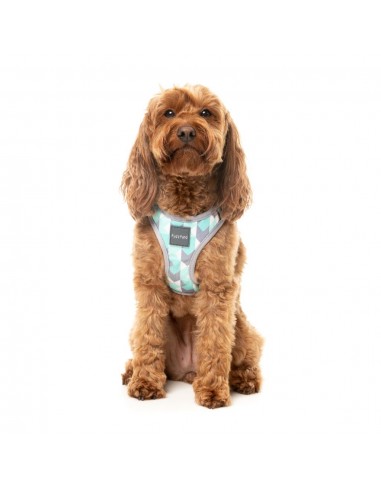 FuzzYard Mint Fizz step-in dog harness with reflective strips