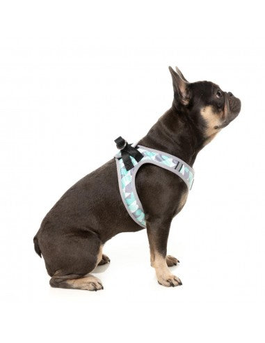 FuzzYard Mint Fizz step-in dog harness with reflective strips