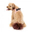 FuzzYard Pink Lemonade step-in dog harness with reflective strips