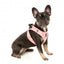 FuzzYard Pink Lemonade step-in dog harness with reflective strips
