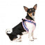 FuzzYard Pluto Pup step-in dog harness with reflective strips
