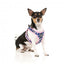 FuzzYard Pluto Pup step-in dog harness with reflective strips
