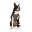 FuzzYard Savanna step-in dog harness with reflective strips, size XL