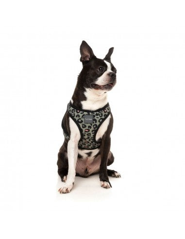 FuzzYard Savanna step-in dog harness with reflective strips, size XL