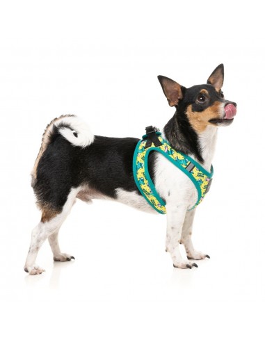 FuzzYard Sk8ter Gator step-in dog harness with reflective strips
