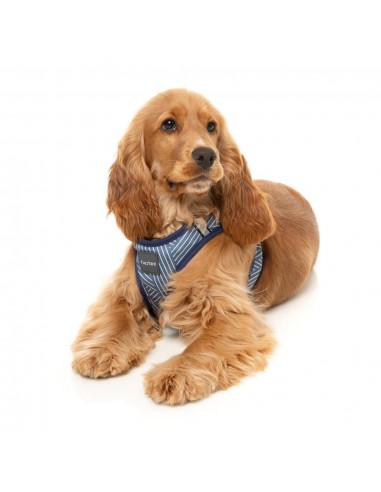 FuzzYard Thornbury Aegean Blue step-in dog harness with reflective strips