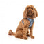 FuzzYard Thornbury Aegean Blue step-in dog harness with reflective strips